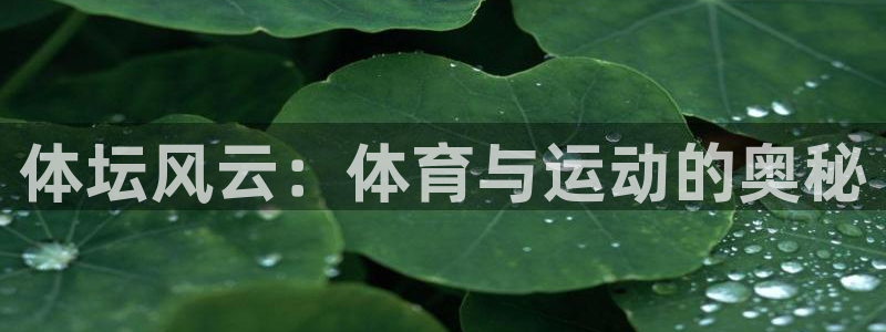 探球体育比分即时比分：体坛风云：体育与运动的奥秘