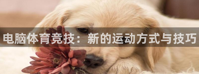 探球体育比分即时比分：电脑体育竞技：新的运动方式与技巧