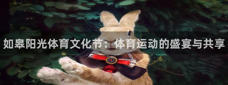 探球体育app：如皋阳光体育文化节：体育运动的盛宴与共享