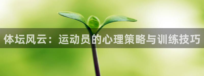 探球体育：体坛风云：运动员的心理策略与训练技巧