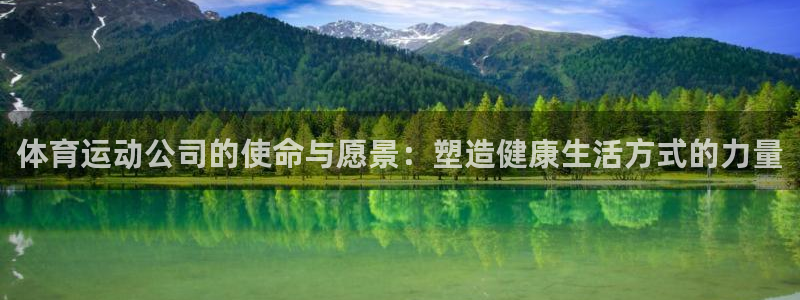 探球体育足球即时比分：体育运动公司的使命与愿景：塑造健康生活方式的力量
