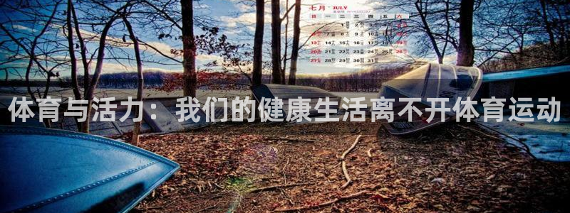 探球体育app官网下载：体育与活力：我们的健康生活离不开体育运动