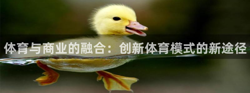 探球体育官网：体育与商业的融合：创新体育模式的新途径